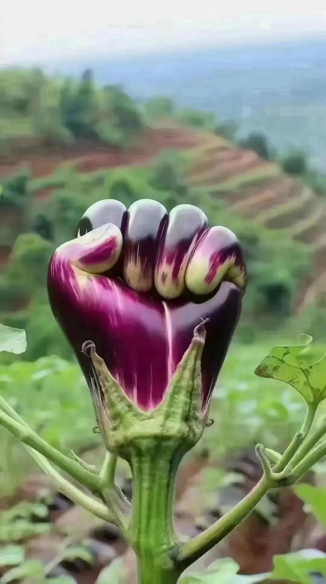 碎碎念
      有些人就是充电器，聊几句就能让你满血复活。有些人就是榨汁机，
