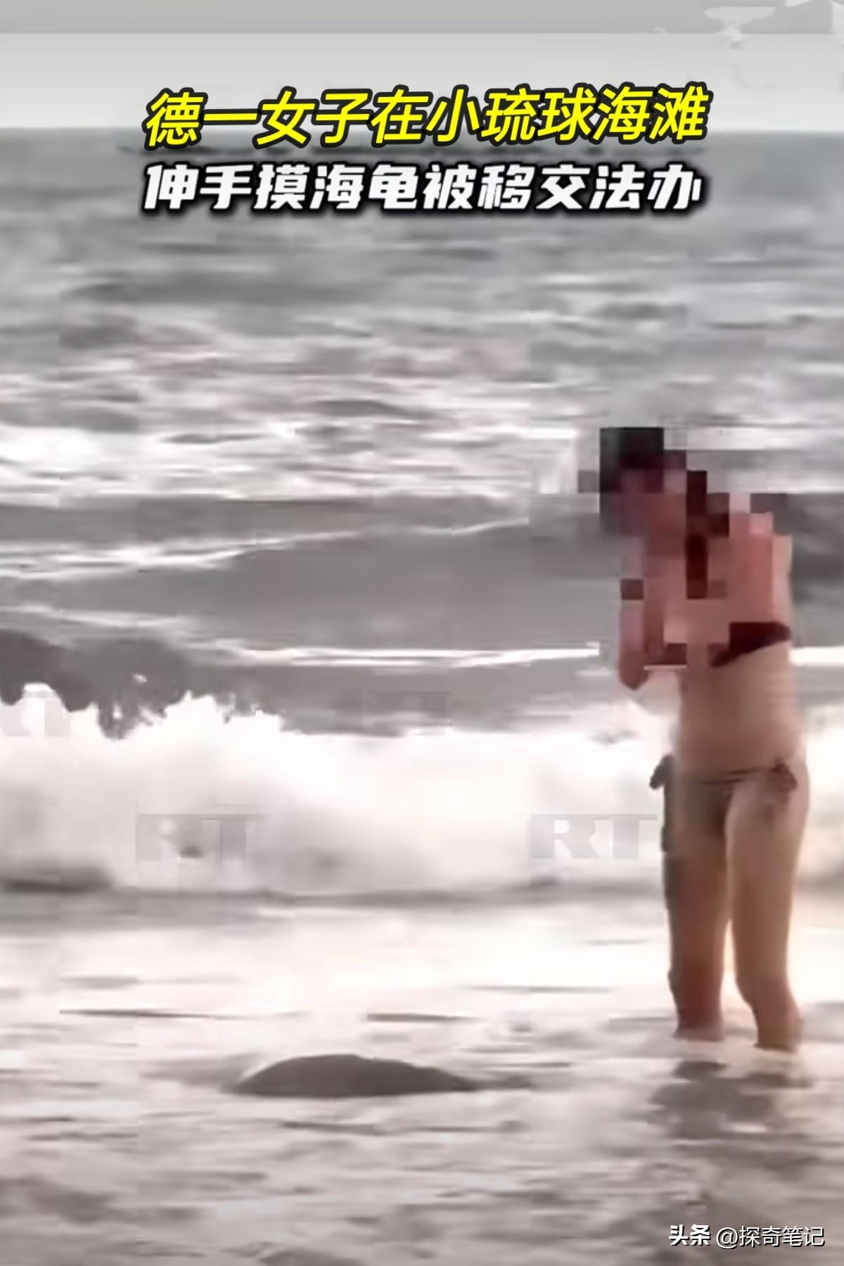 摸了一下海龟，代价可能是6万起步

小琉球美人洞岸边，一位德国女游客看到海龟游过