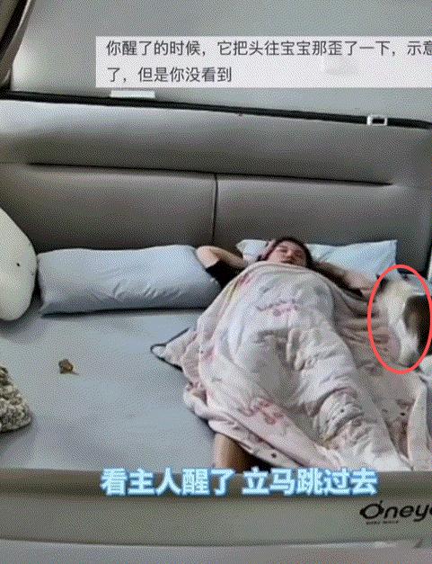 太有灵性了！山东，一几个月大的宝宝和妈妈睡觉，可宝宝翻身时不慎被被子蒙住了头，但