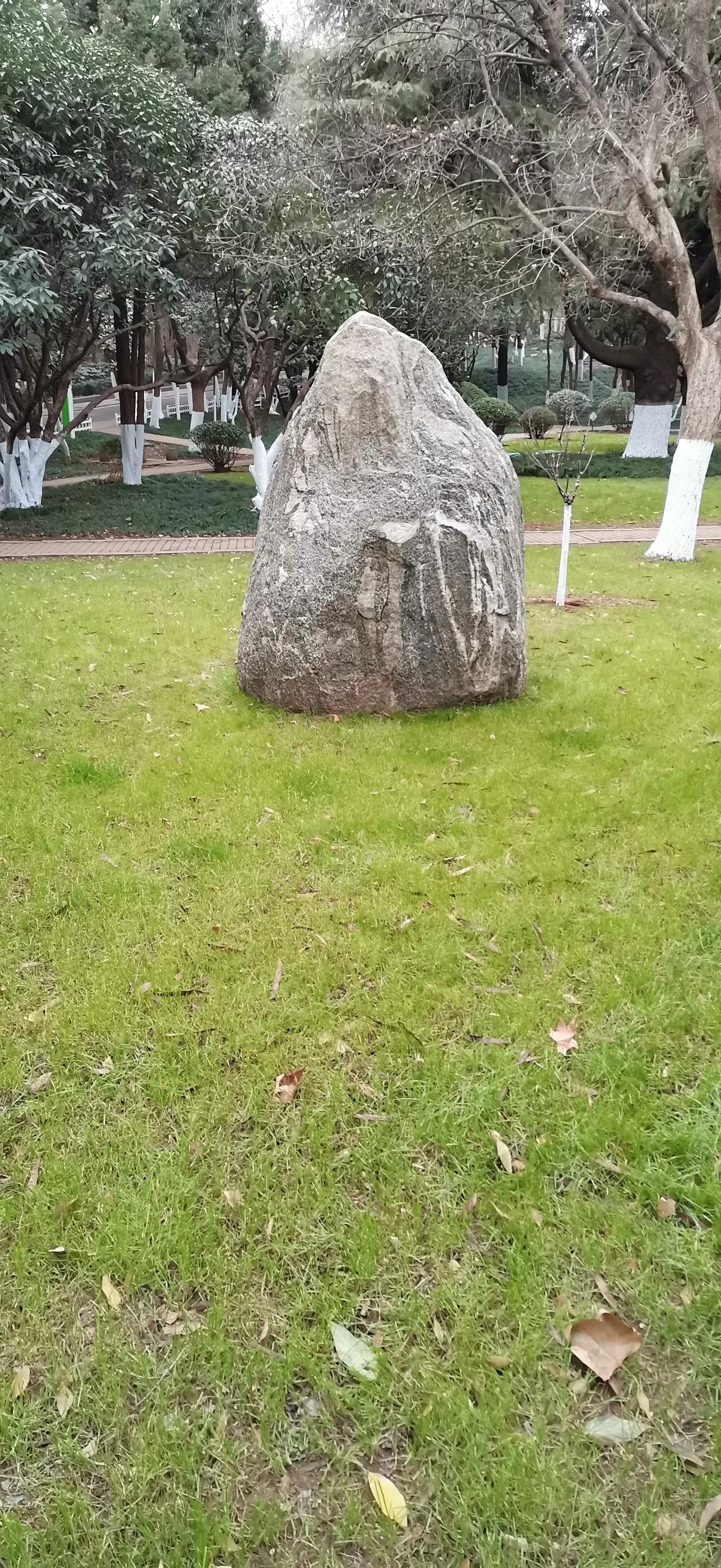 随手拍美丽景色。