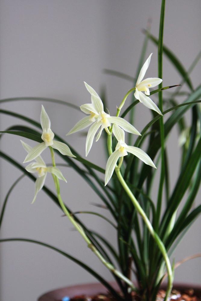 下联：时光荏苒静静流。