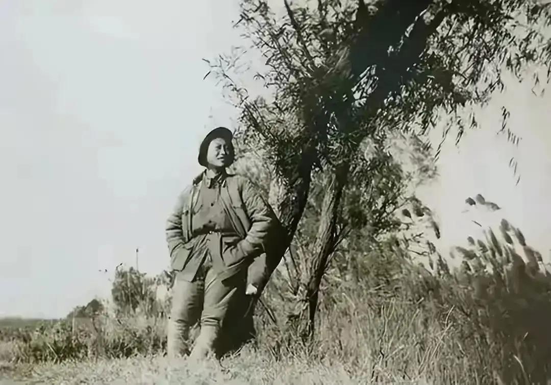 1943年春天，被抓的国民党特务张强被带进屋里，他扫了一眼四周，忽然抬手指着林晚