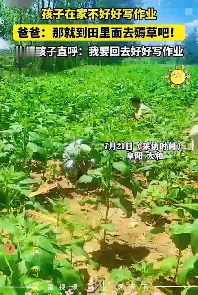 烈日里的作业比教室里的更难。

拔草一上午的孩子哭得快断了气，父亲却只递了半瓶水