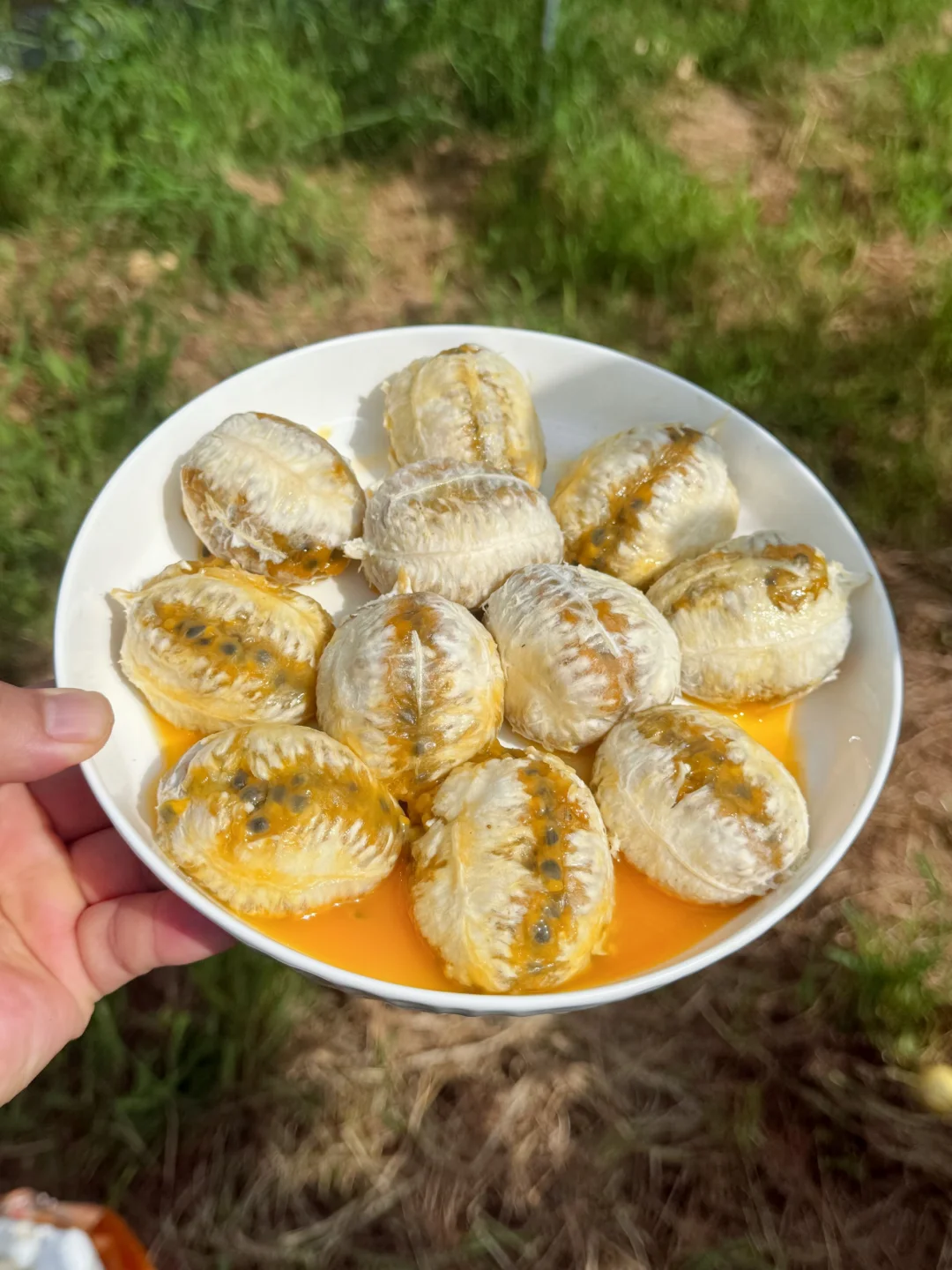 水果中的维C小糖包，每一口都是香香甜甜的。