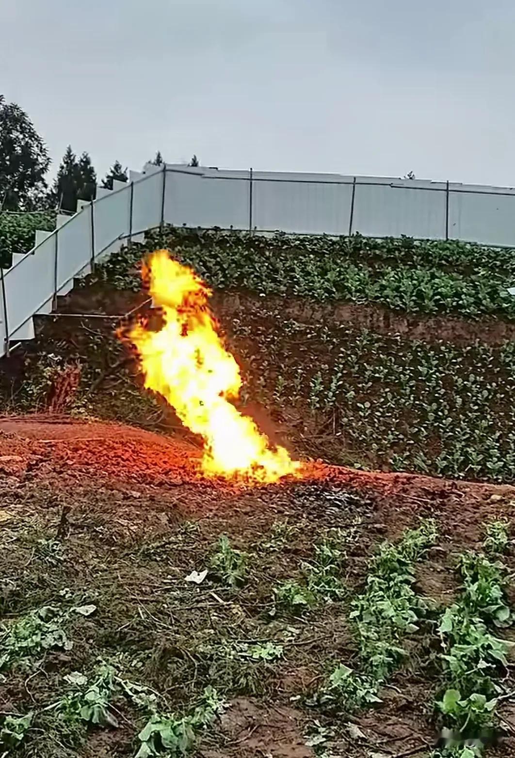大火已烧了近1周，四川地菜地成网红打卡点，起火原因众说纷纭。事发2025年12月