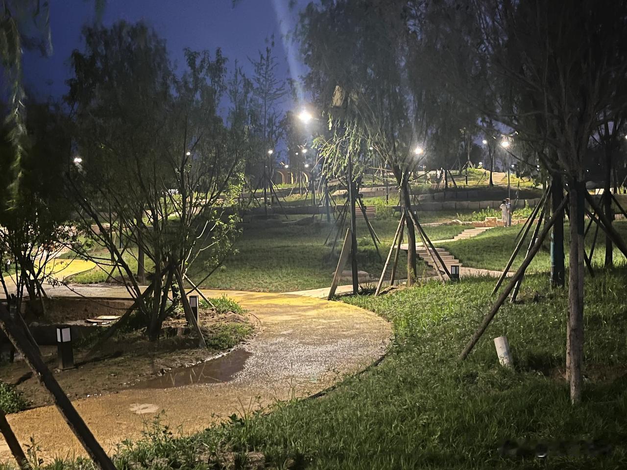 今天晚上很凉快，就想出去走走。已经很长时间没有在晚上出去走走了，一是因为温度高，