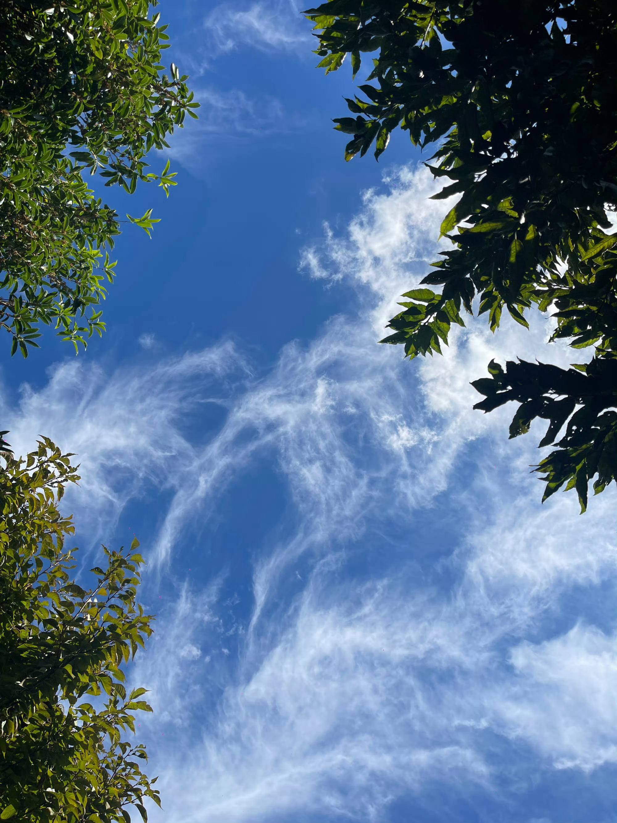 明明身外的什么都没有变，自己内在的感觉、感受却变了，这是一个人生长出了智慧的唯一