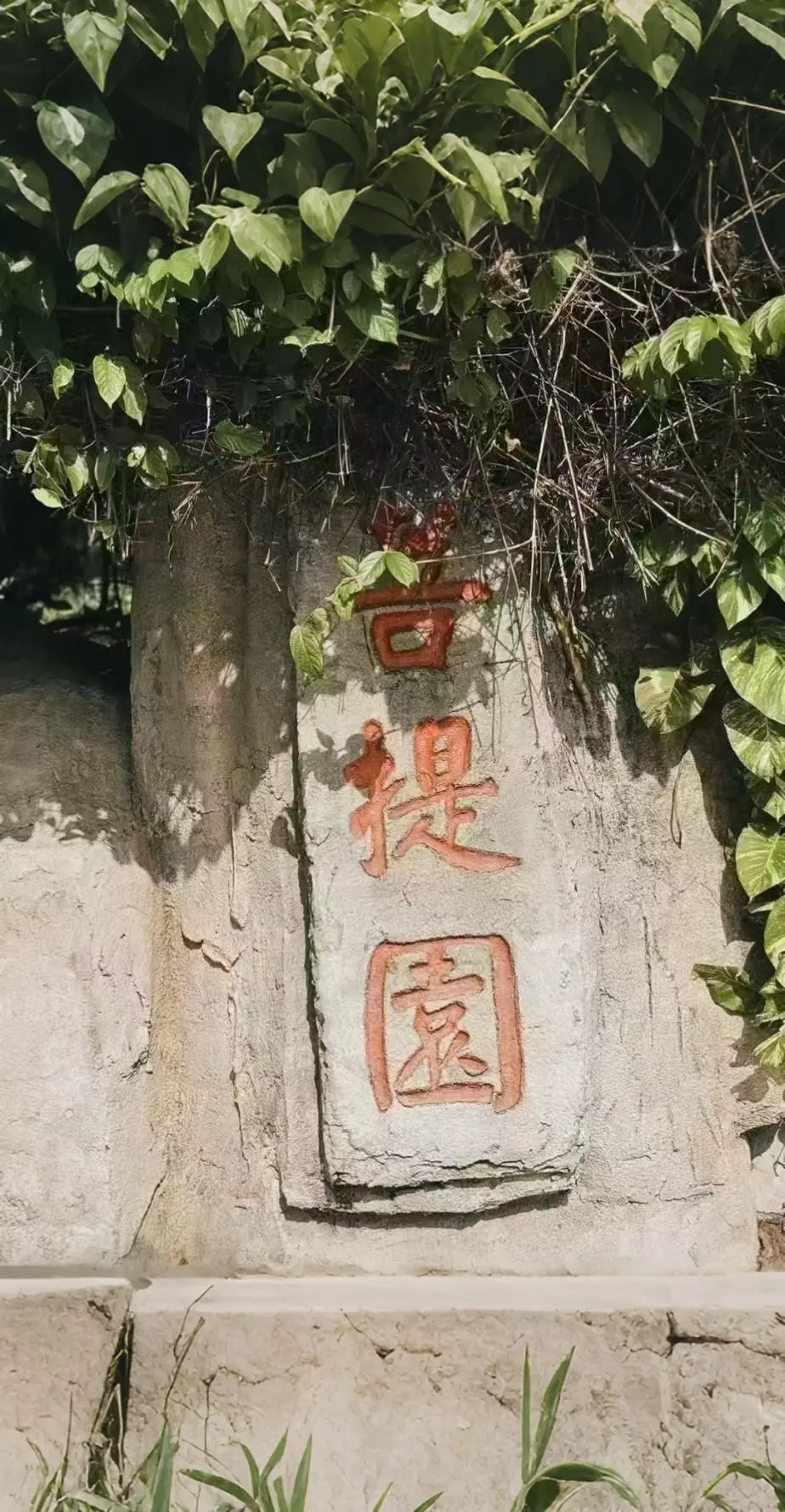 人啊，一定不能一次次陷入怨恨愤怒和嫉妒的情绪里，反复感受，更不要一次次...