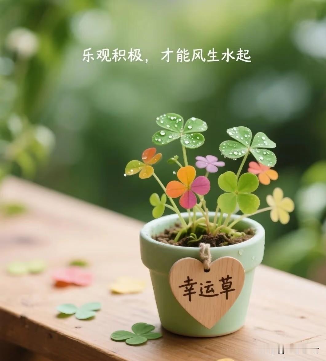 表姐的儿媳妇陪嫁一辆30多万的车竟然是0首付。亲戚们知道这个事之后就开心的传开了