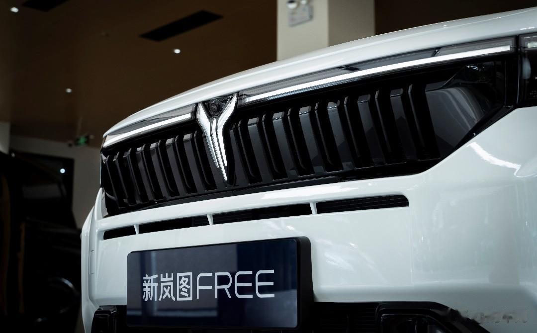 新岚图FREE看车反馈来啦！

从新岚图FREE开启预定，我就一直在关注这台车，