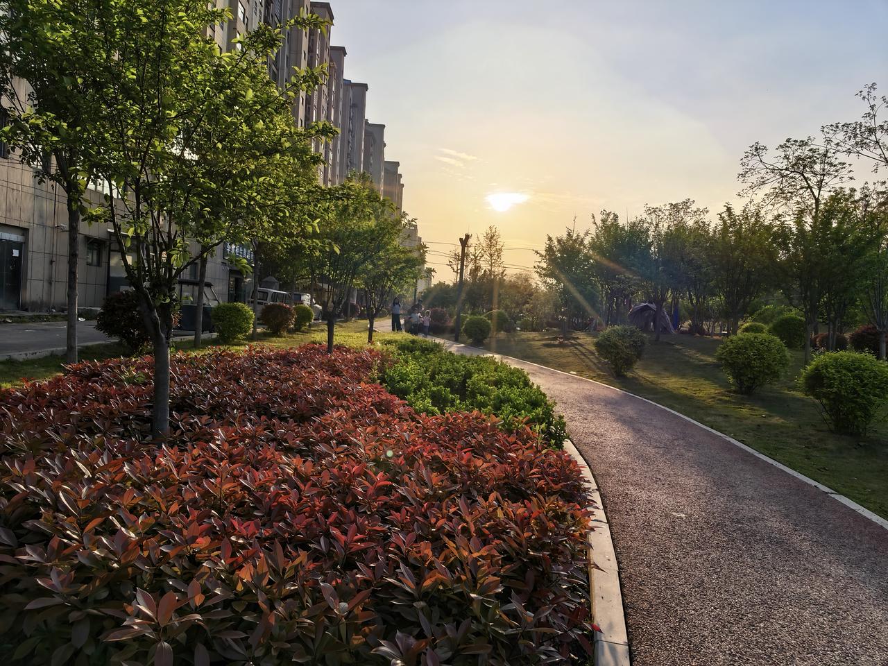 头条文有个趋势，点赞收藏的多，留言的少了。
感觉就是大家该浏览还浏览，就是不再发