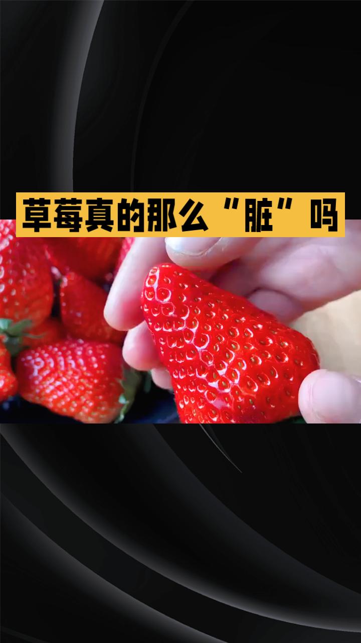 草莓真的那么“脏”吗？多年背负“最脏水果”之名，真相究竟如何？
近年来，草莓因表