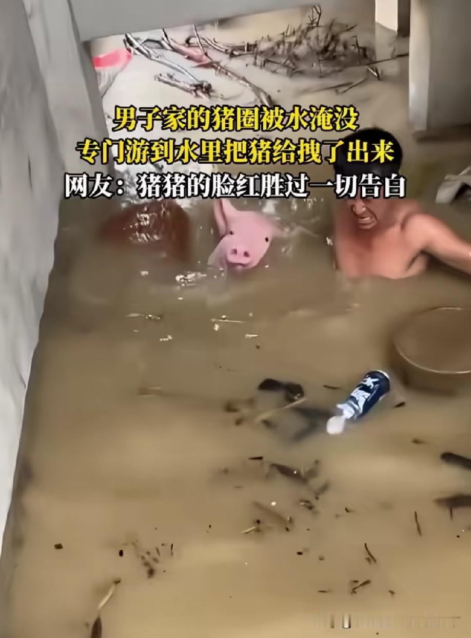 这是长这么大最干净白净的一次[呲牙]