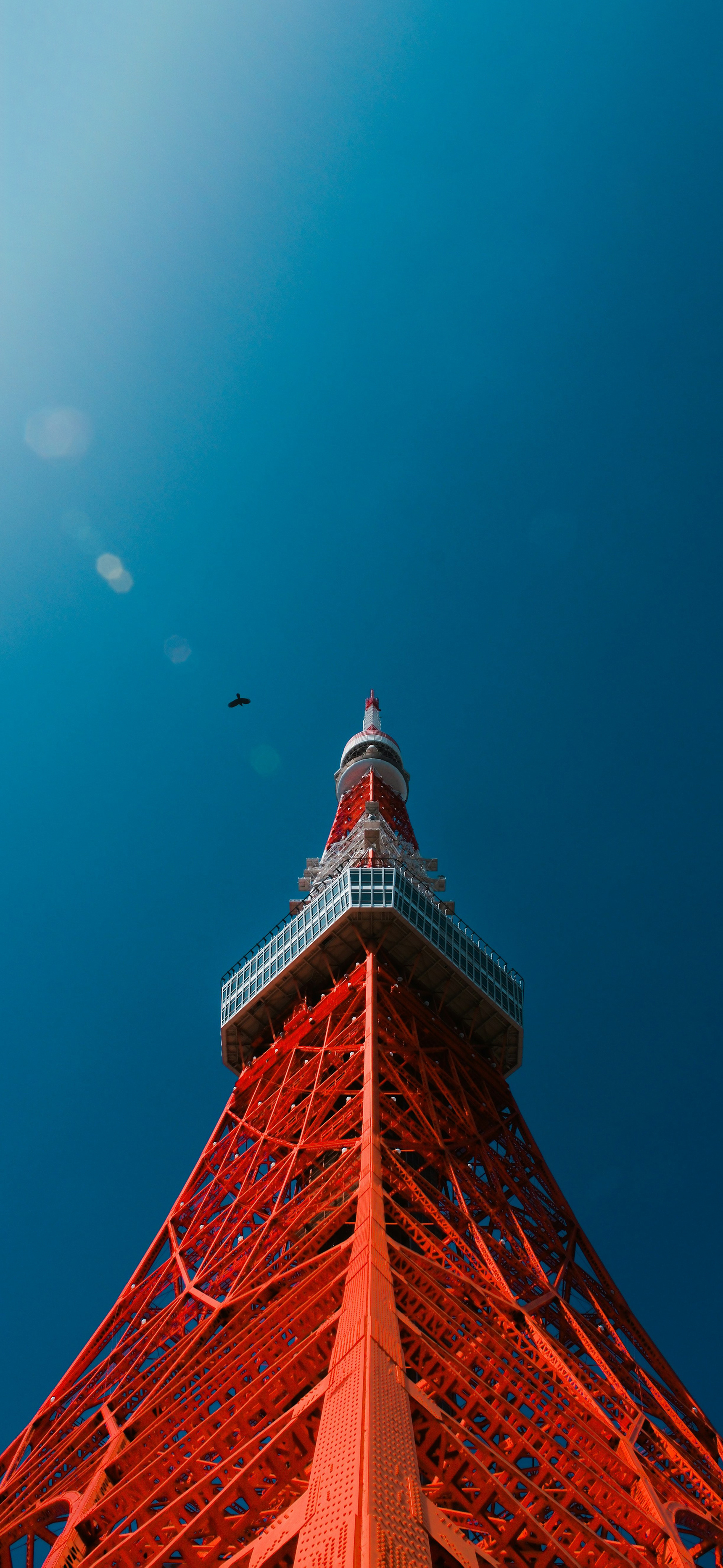 莱分享 今日 iPhone 壁纸分享 