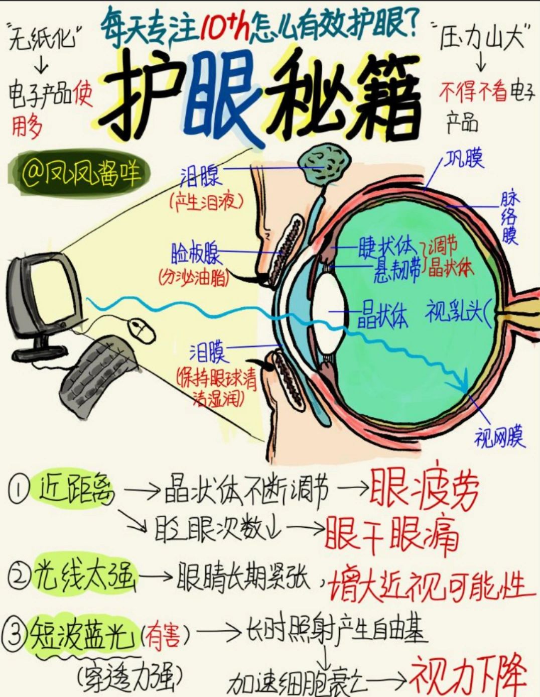 🎉适合上班族和学生党的护眼秘笈❗❗🔥