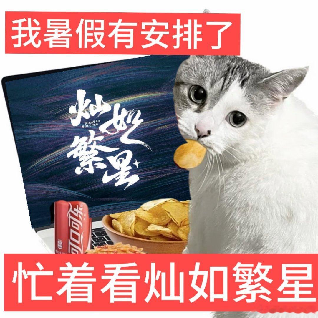 为什么暑假要追灿如繁星 世界杯配球队热血线简直绝杀，场外踢得起劲，剧里打得起劲，