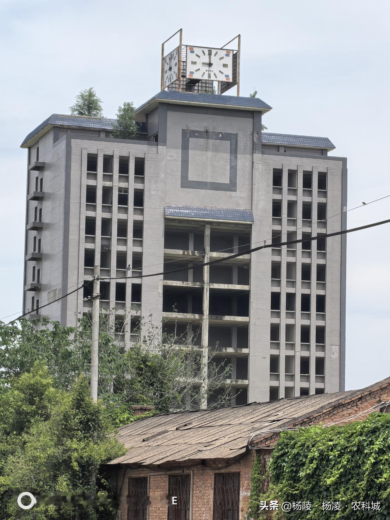 杨凌华西大学烂尾十余载：楼顶小树抽枝，麦田铺满校园，时光于此凝固
在陕西杨凌这座