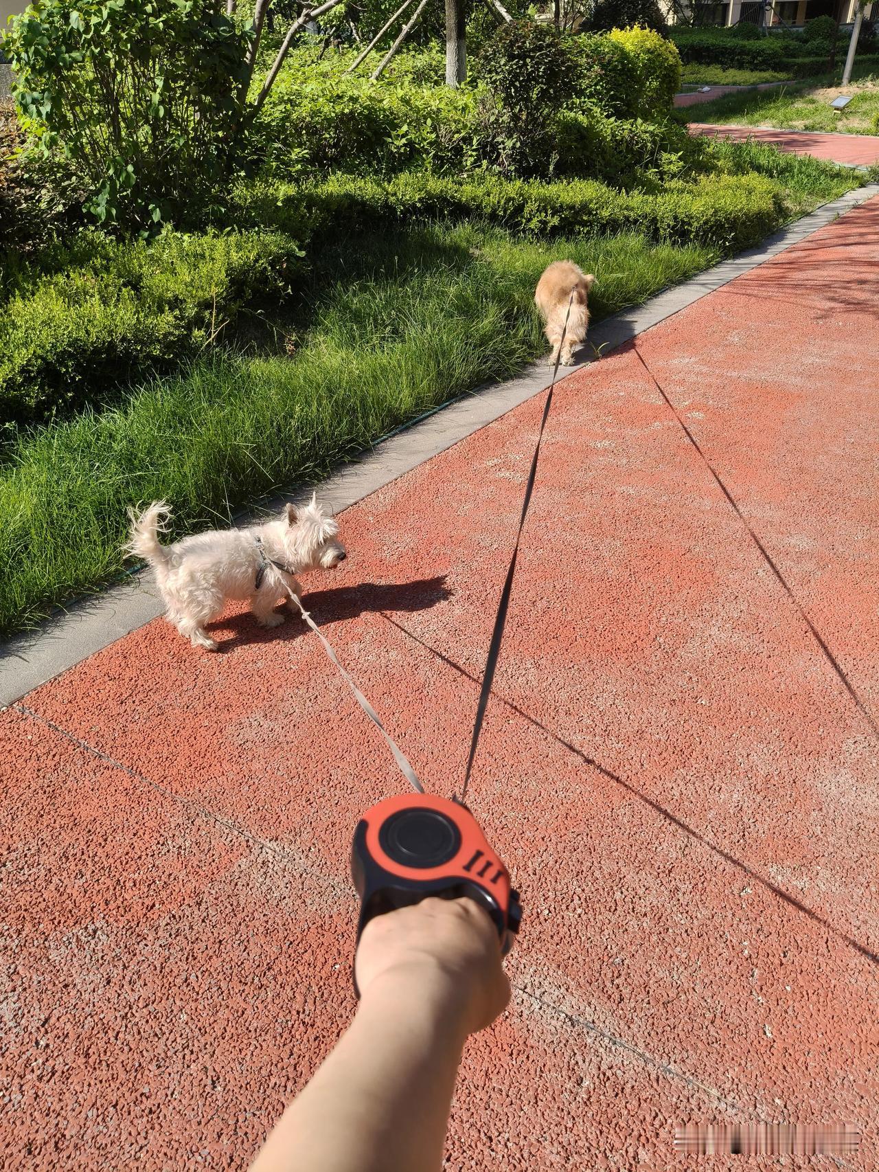 都记得
