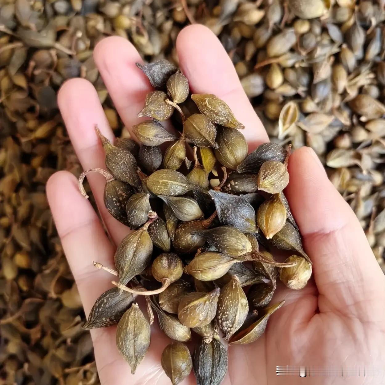 时间短、硬度差？别只盯着补肾！这4个部位才是关键
 
大家好，我是陈大夫！
 