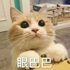 月薪5w是什么概念月薪5万是我从来没体验过的概念[二哈]谁能让我过把瘾，体验一下