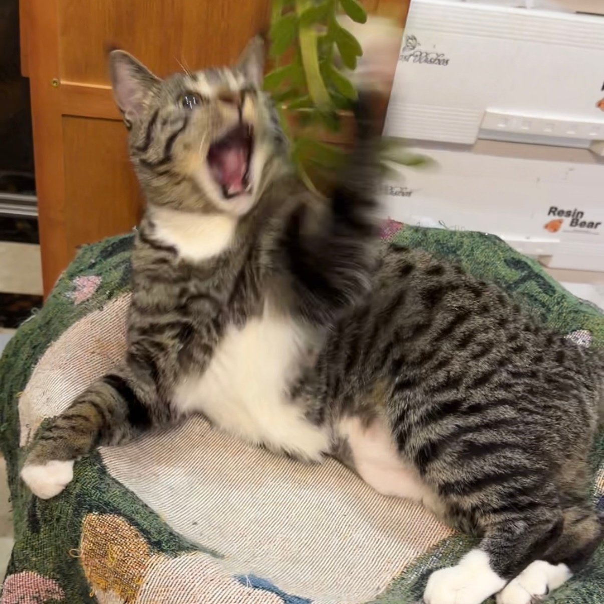 童儿 