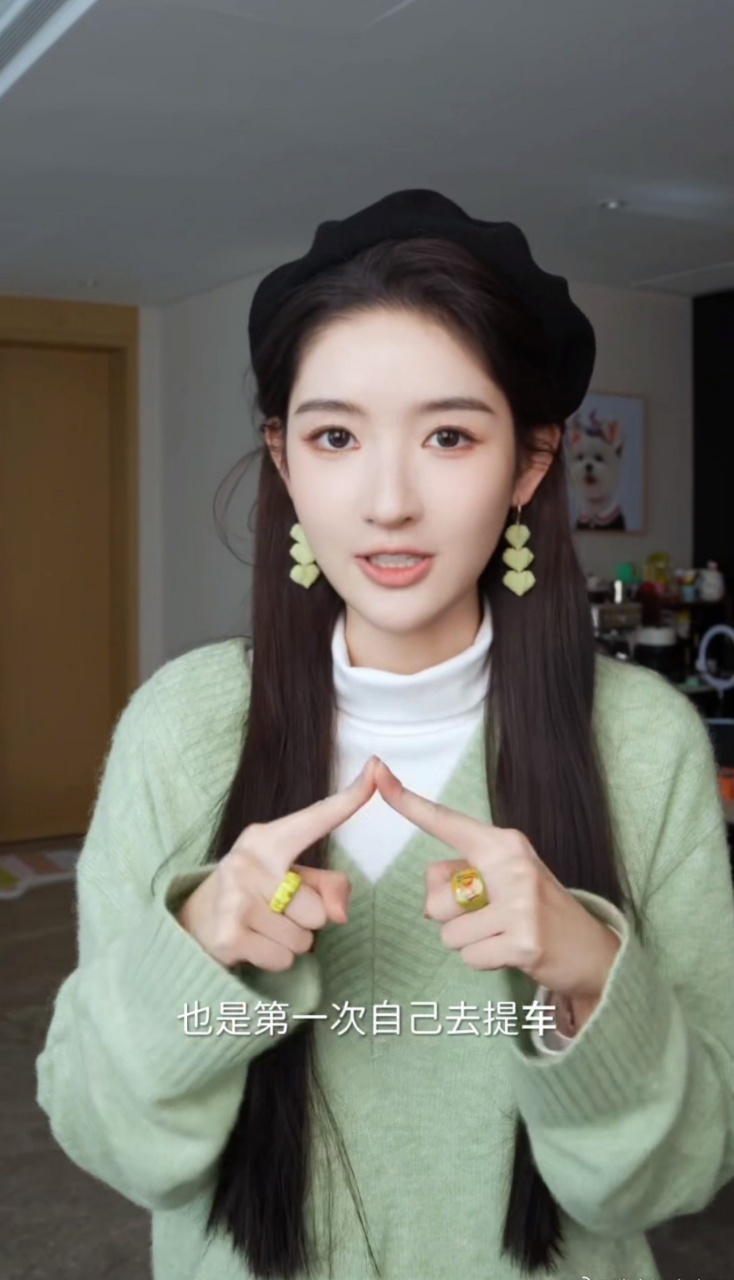 娱乐王玉雯记录自己第一次提车 王玉雯记录自己第一次提车vlog，小雯追星刘亦菲的