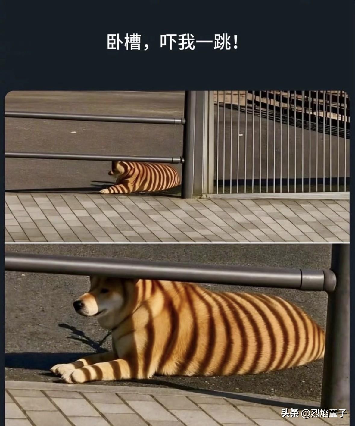 真的一眼看错[笑哭]