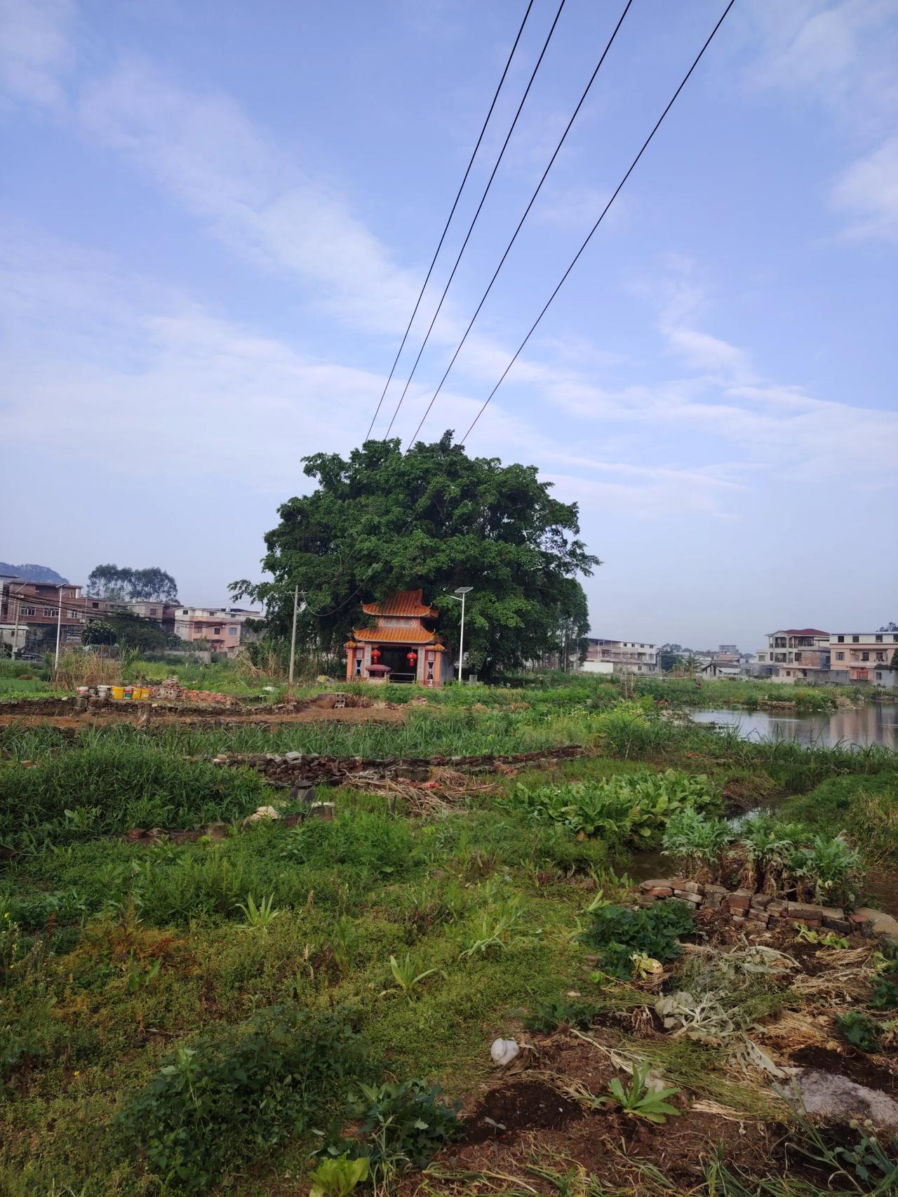 贵港农村碎片。广西的农村是不是都长得差不多？广西乡土生活