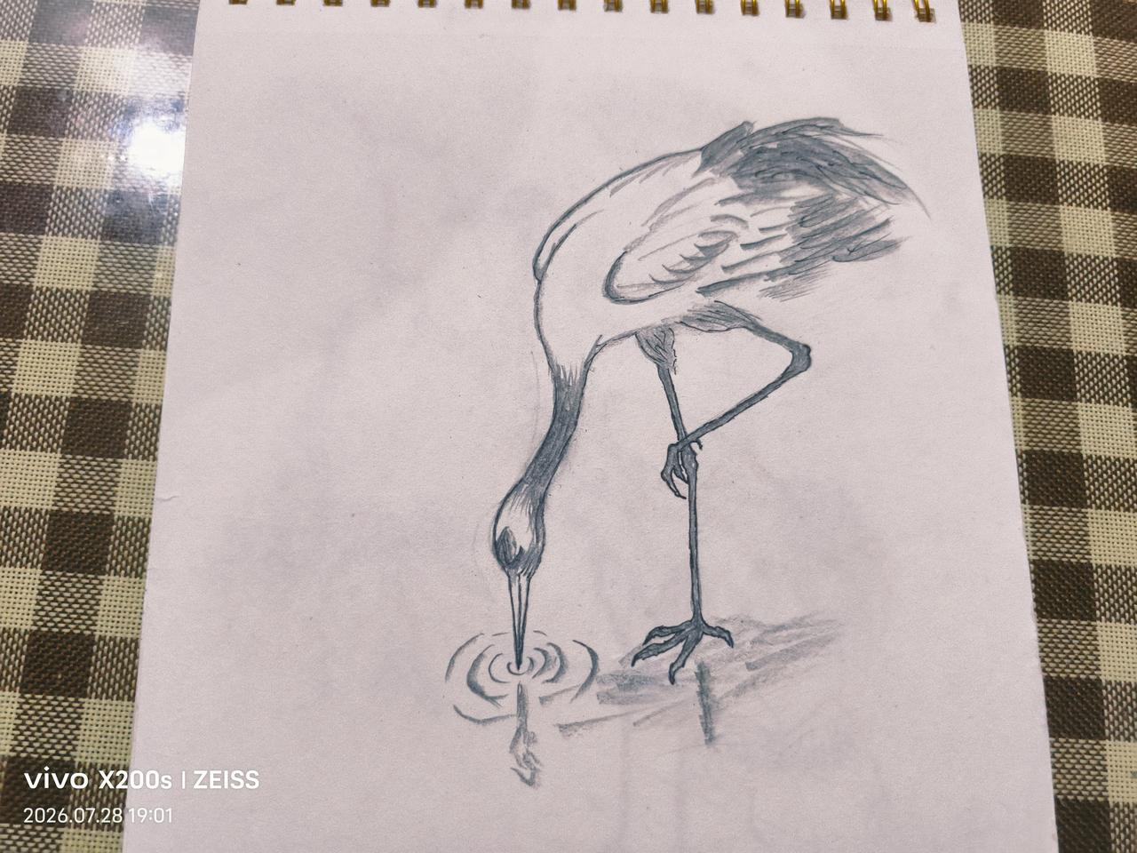 随手画的能有多惊艳手绘仙鹤独立水中觅食。