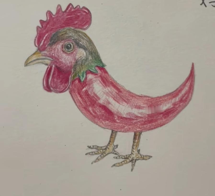 这只鸡画得真可爱！这小公鸡🐔哪里不一样，你能看出来吗？[作揖]
