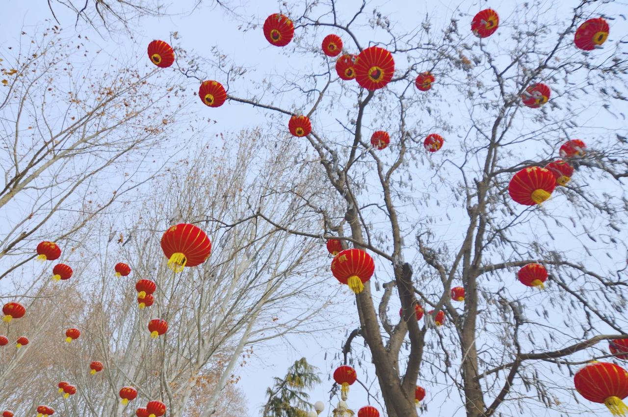 达活泉公园雪后初晴，红灯笼点亮冬日浪漫！瑞雪纷飞春意浓 一串串红灯笼高高挂起，在