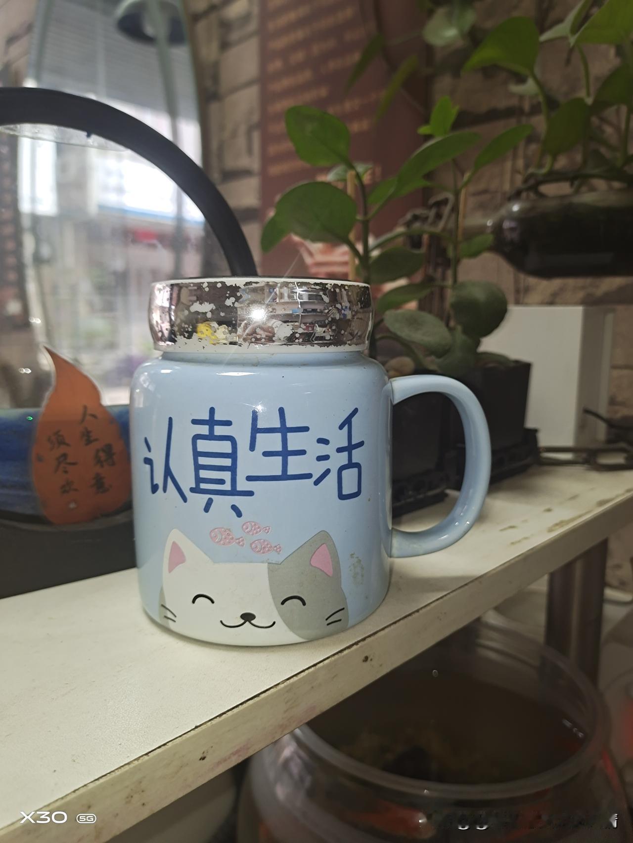 🔥《熬夜党必看！3分钟拯救你的"朋克养生"》
别再一边熬夜一边喝枸杞了！教你真