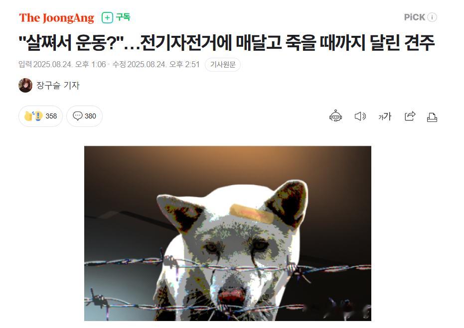 【韩国男性骑电动车拖狗致死被立案，称“狗太胖了需要运动”】海外新鲜事热点现场 韩