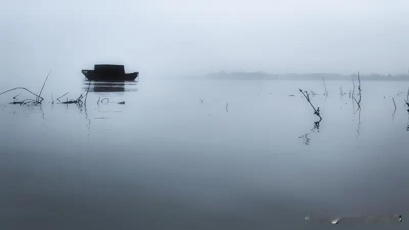 “浅水孤舟看落花”，这画面太美，仿佛把人拉进了一个诗意的世界。就像陈姝棠诗里“多