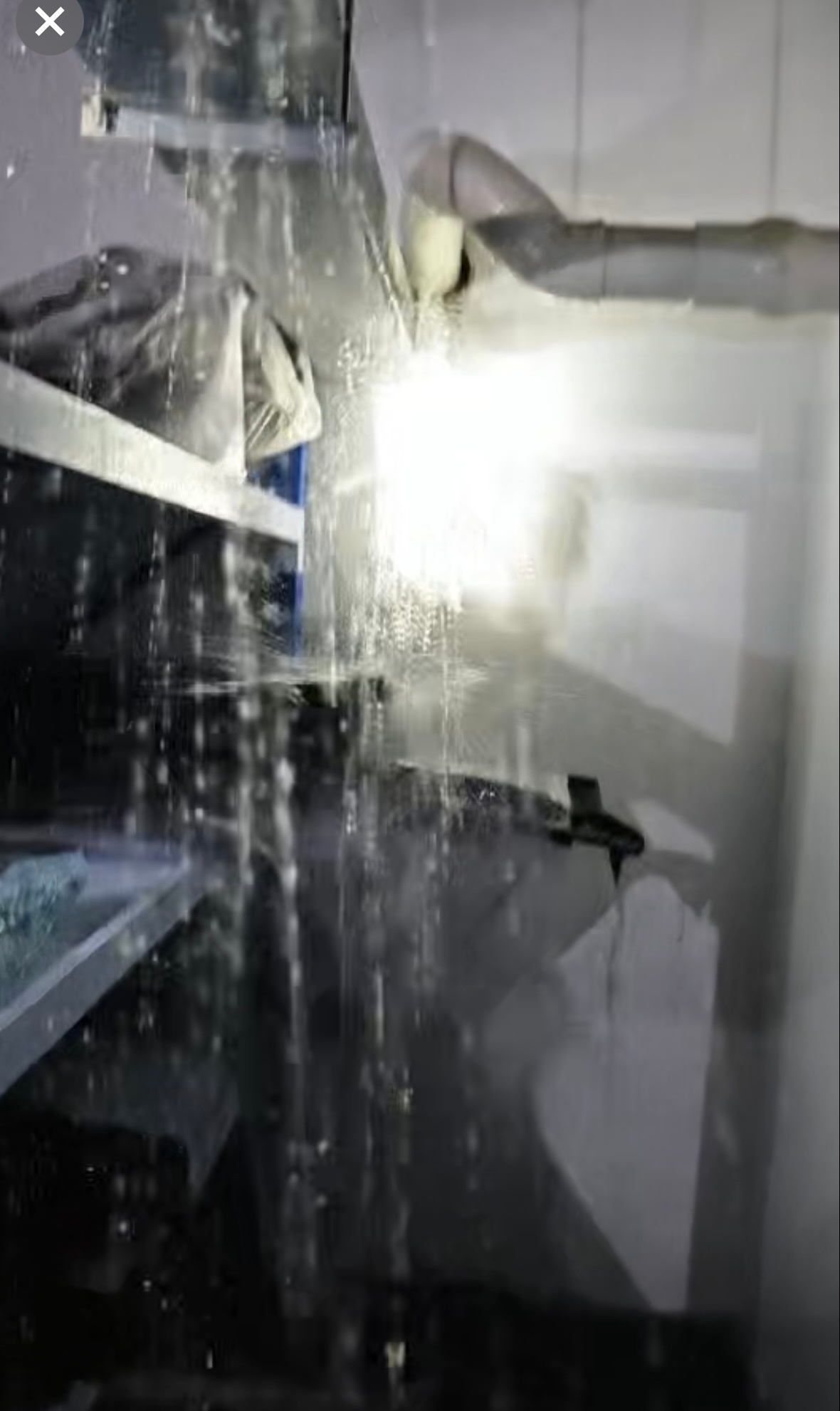 台风白海豚 踏喵的！ 这次又是台风中心台州登陆。 我司台州仓库进水了。