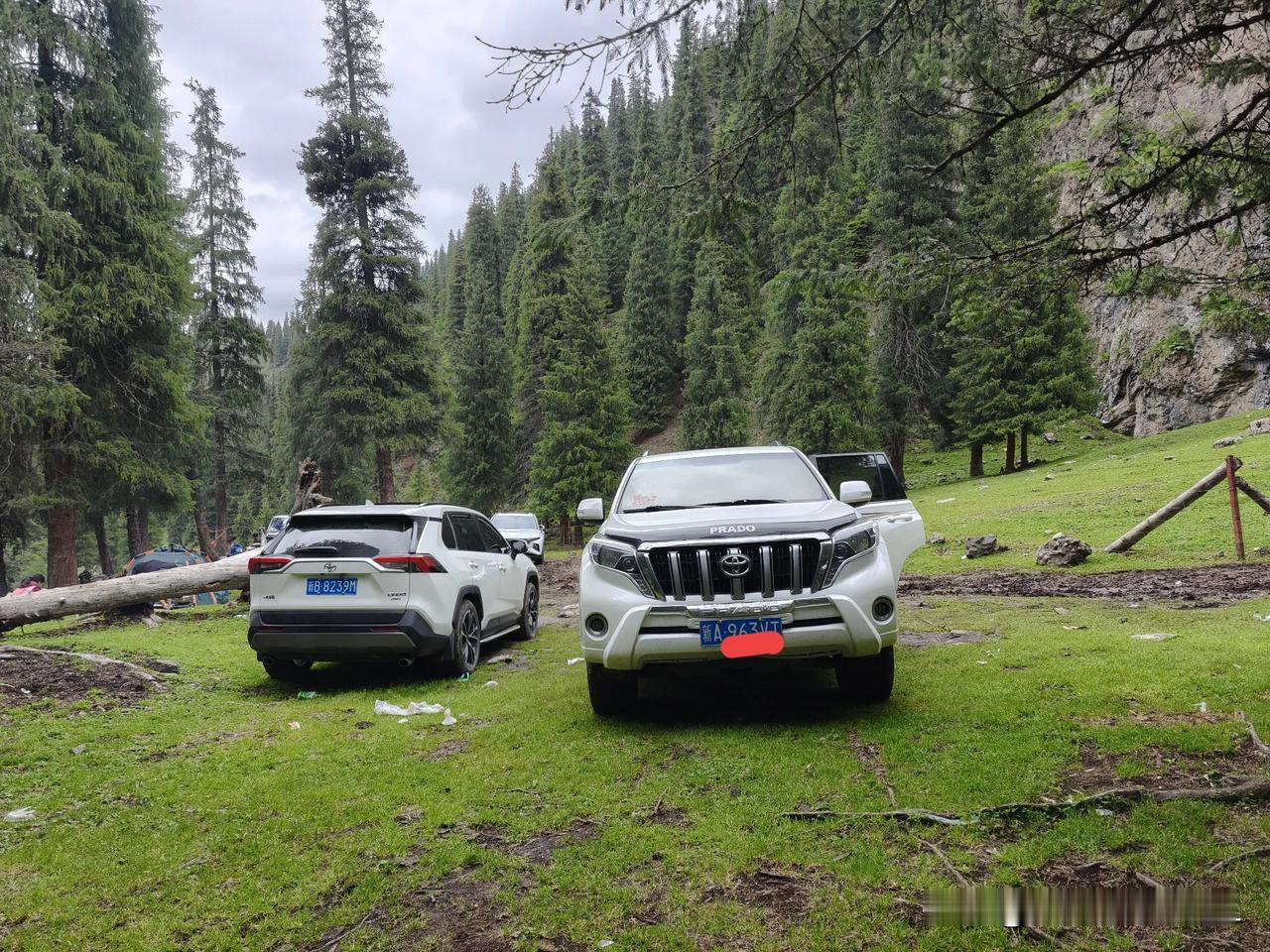 一直以来普拉多都被称之为保值神器 什么山是山，河是河越野还是普拉多。可以陪你风花