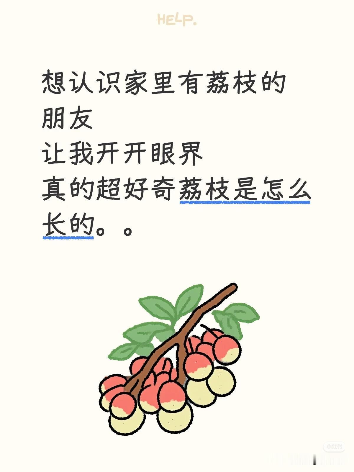 想认识家里有荔枝的朋友！