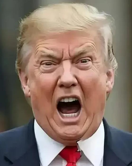 头一回见！
美国总统今天突然宣布：
1月30日，美国总统特朗普宣布：因为加拿大“