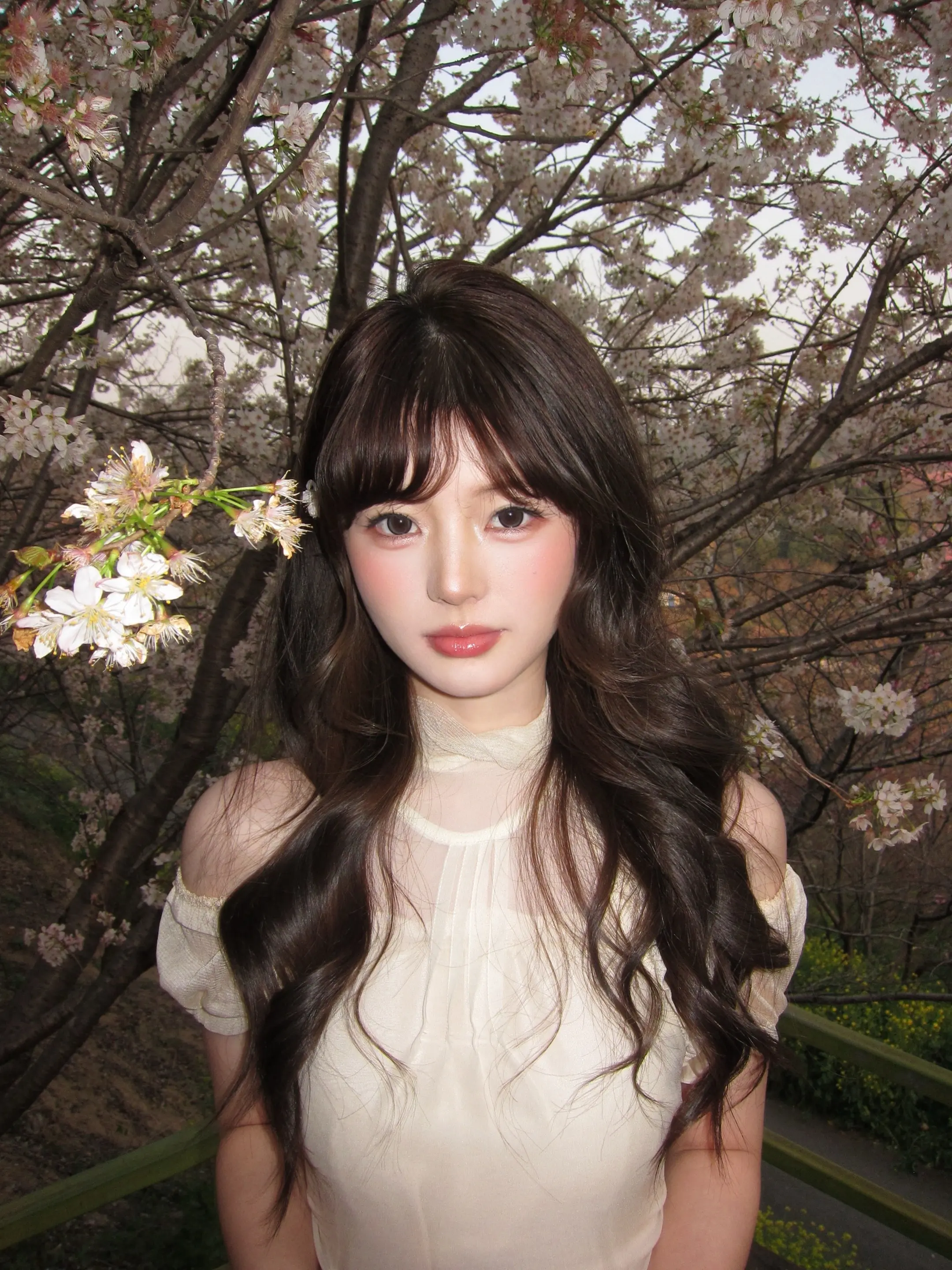 🌸与我.