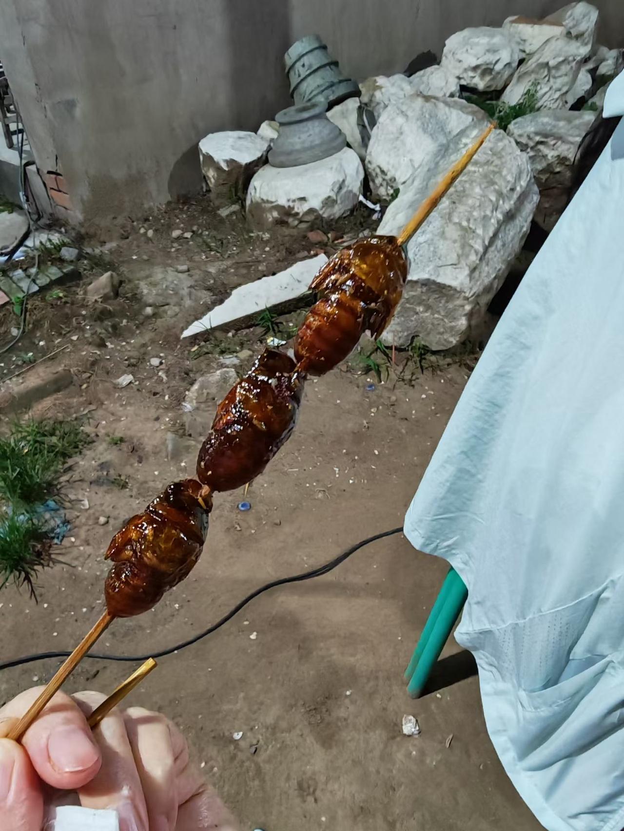 烤知了猴
烤知了，绝对是属于夏夜和童年记忆里的顶配野味！那股焦香酥脆，想想就流口