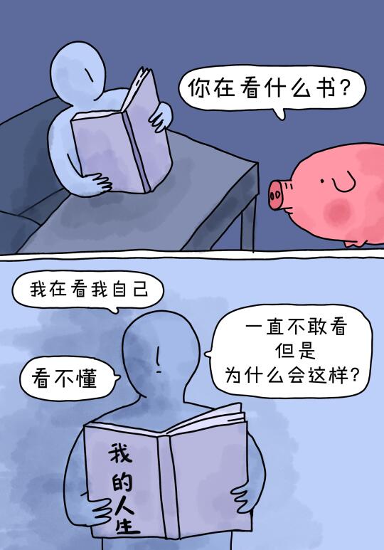 我的人生是一只猪