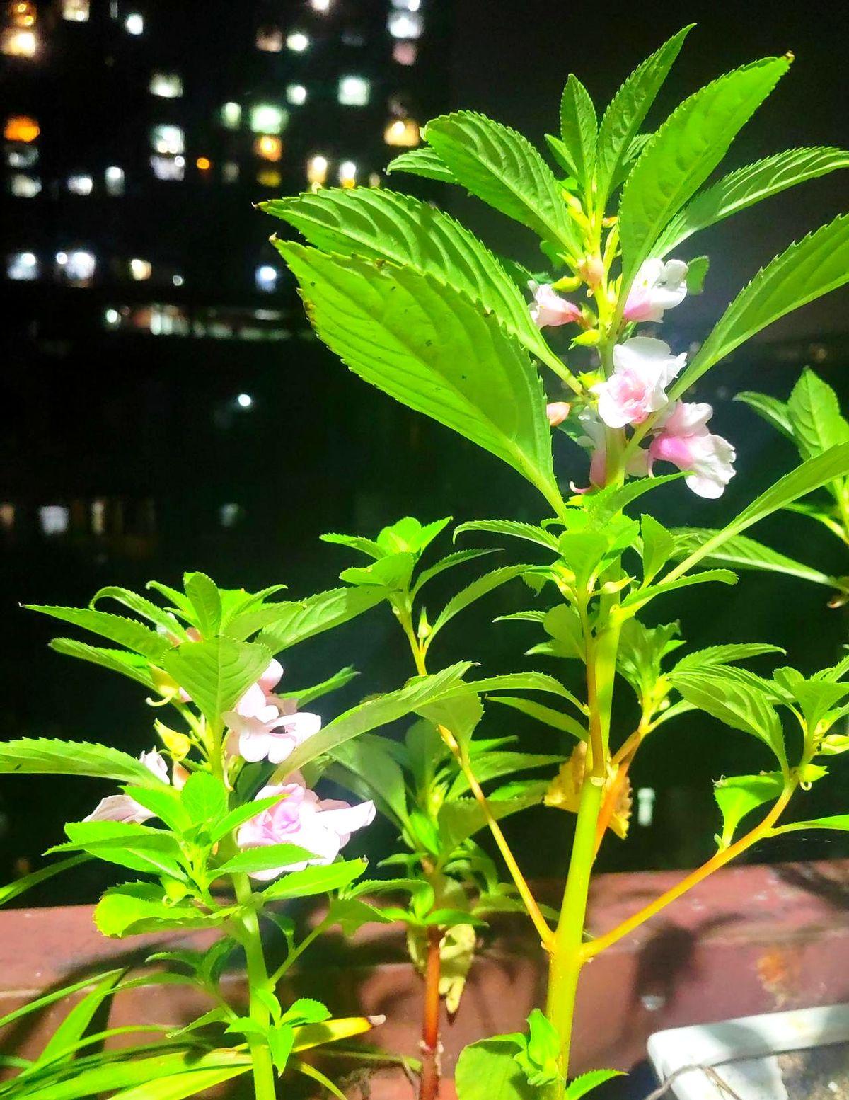 昨天遇到已退休5年的同事王姐，听她神采飞扬地讲起退休后的生活，令我羡慕不已，原来