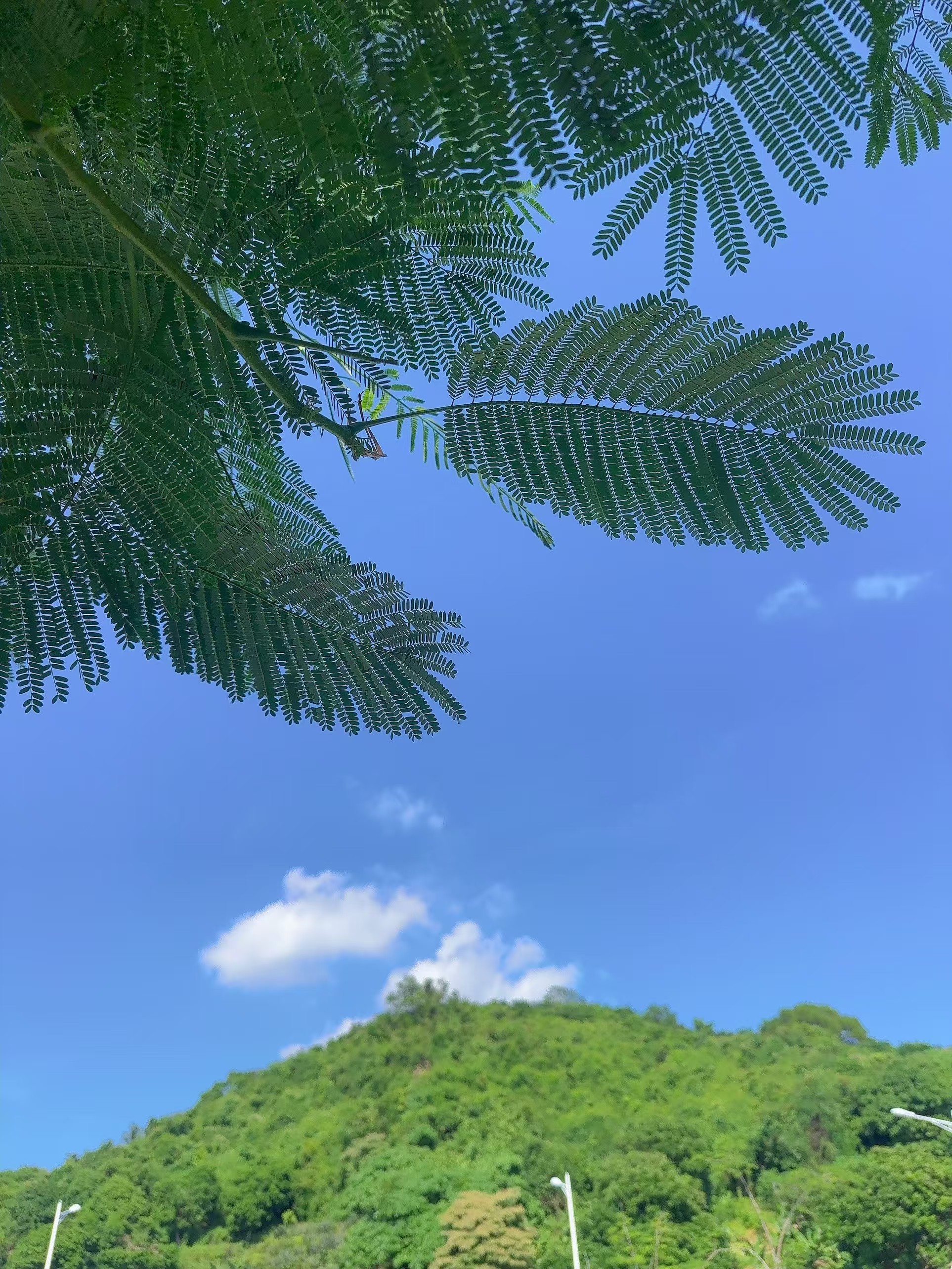 📍𝑺𝒉𝒆𝒏𝒁𝒉𝒆𝒏 天文台 🌤️ ​​​