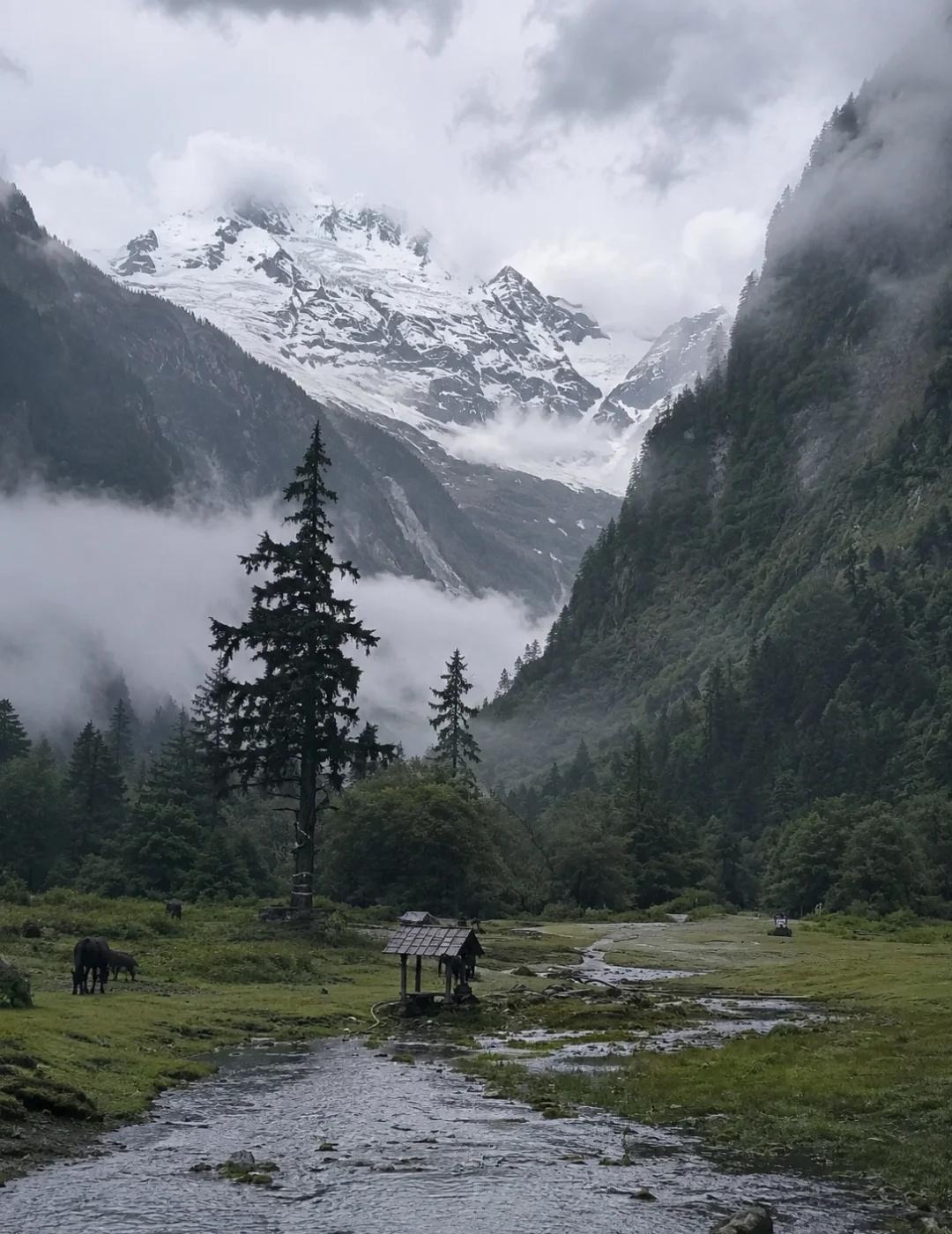 雨崩徒步攻略｜第一次去建议先看这篇
刚从雨崩出来，把交通、路线、住宿和装备整理一