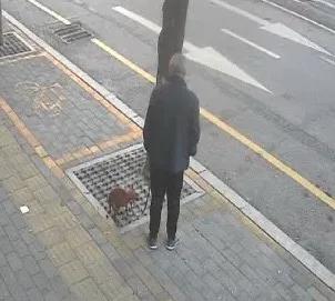 狗有错吗？我认为狗没错。为什么那么多人讨厌狗？这是其中一个原因吧？从内心来说，我