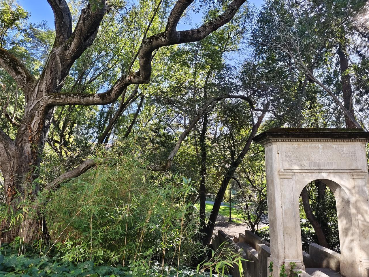 晨炼两百个俯卧撑，卷腹，哑铃，开合跳，理性精神，长期主义