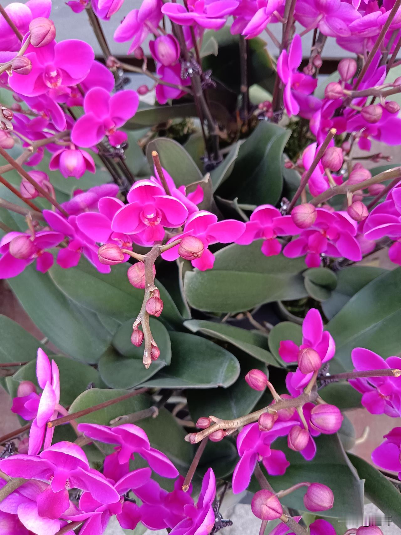 你会感激一个让你成长但伤害过你的人吗？
 
这个问题像一根细针，轻轻刺破回忆的茧