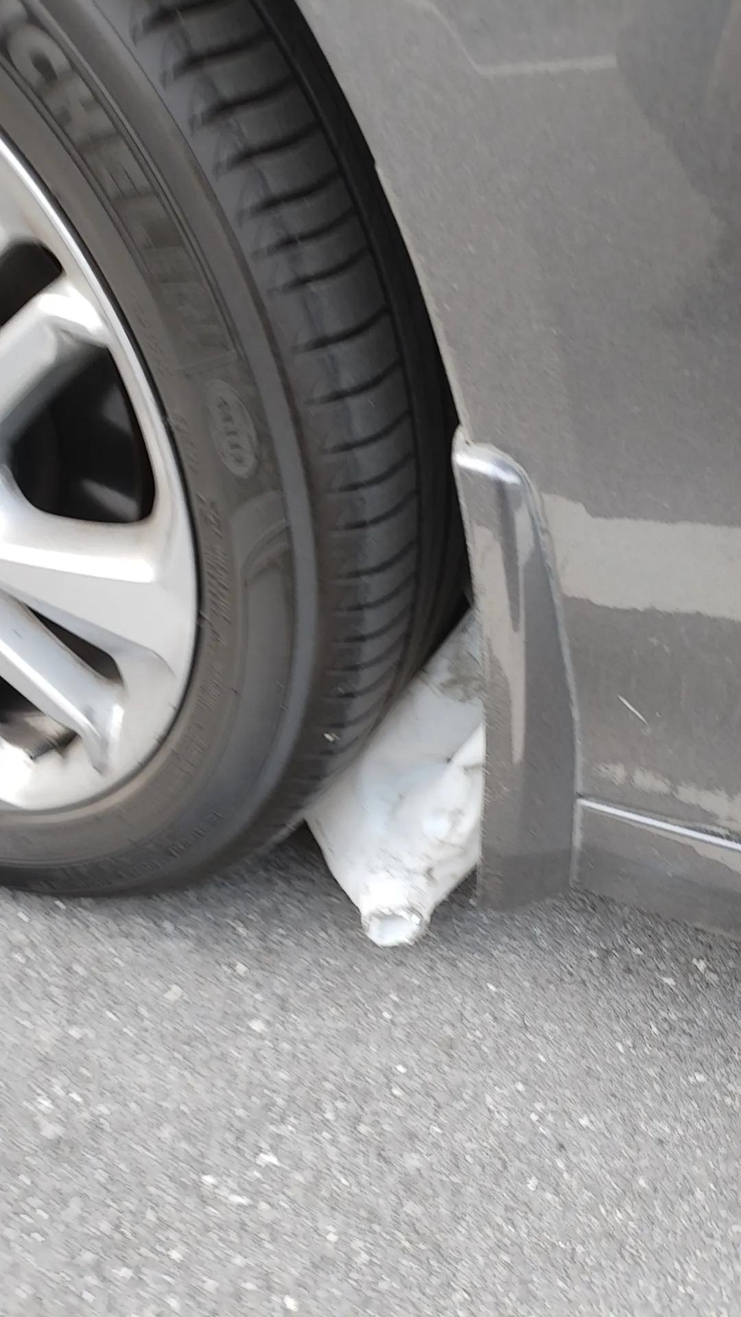 一早起来踩到了狗屎[捂脸]求助怎么办啊，拔不出来啊，刚好卡住了[抓狂]