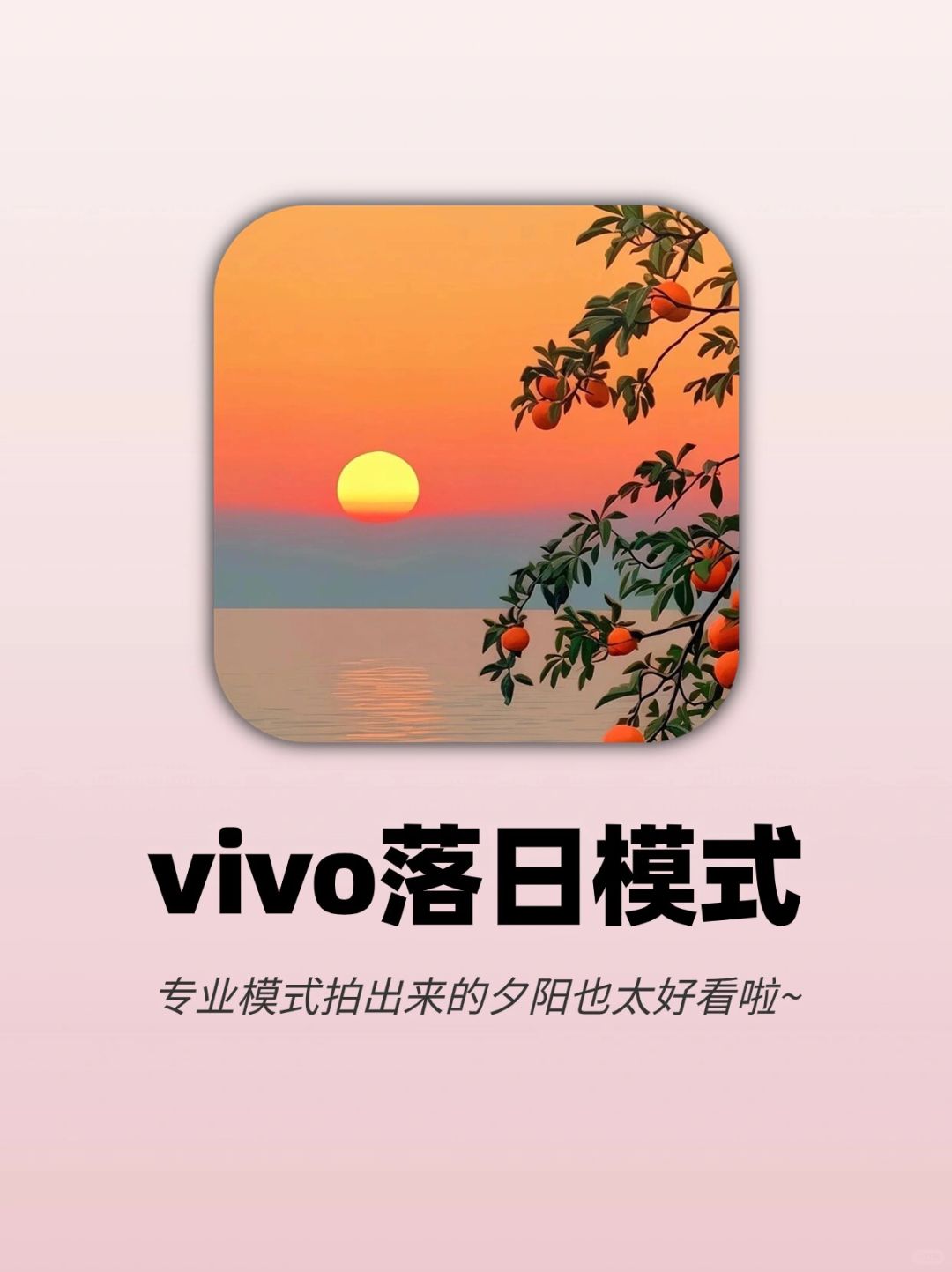 vivo原相机参数‼️专业模式拍落日太好看啦