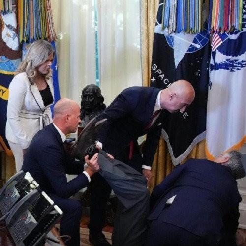 特朗普官宣减肥药降价，现场药企高管突然晕倒
 
当地时间11月6日，美国总统特朗